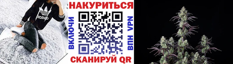 Бошки марихуана ГИДРОПОН  Купить закладки  Вяземский 